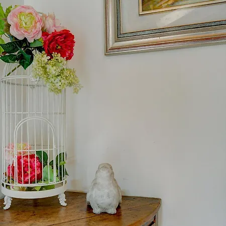 Snug Nest Апартаменты