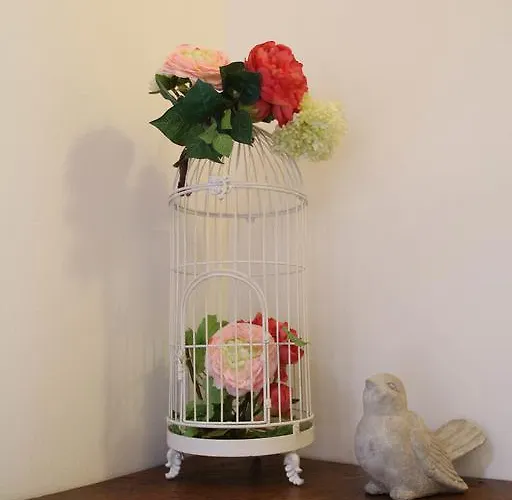 Snug Nest كومو