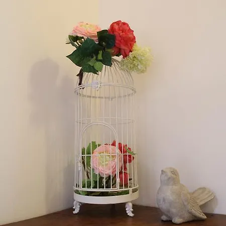 Snug Nest Como